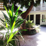 Condo Courtyard in hillcrest for sale