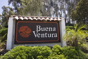Buena Ventura Opt 1